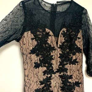 Lace Bodycon Dress with Lace Mesh Sleeves
